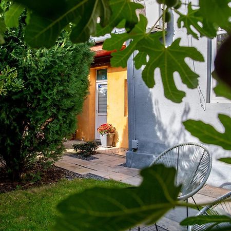 Dulcineea Downtown Garden Studio Timisoara Exterior photo