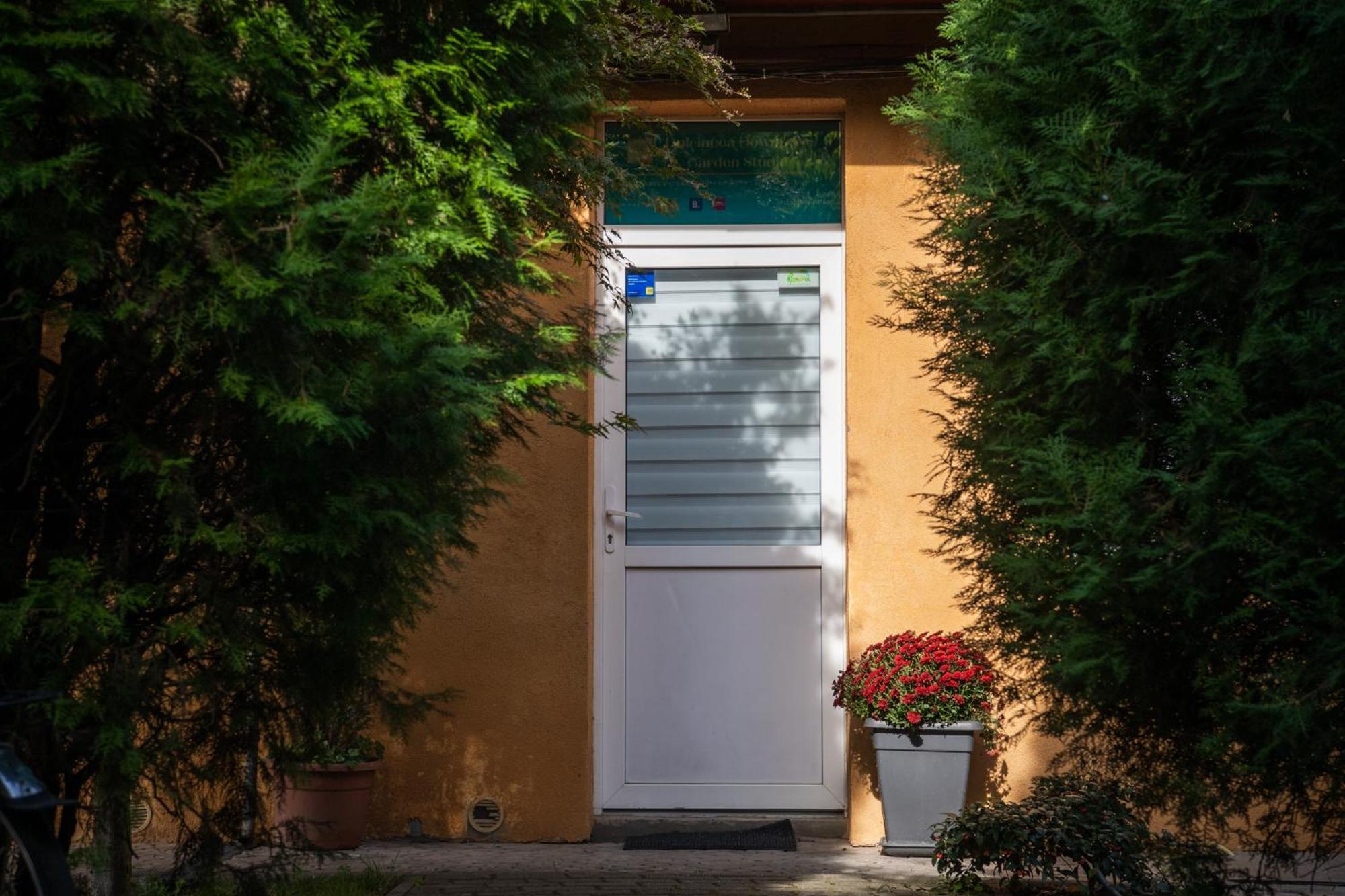 Dulcineea Downtown Garden Studio Timisoara Exterior photo